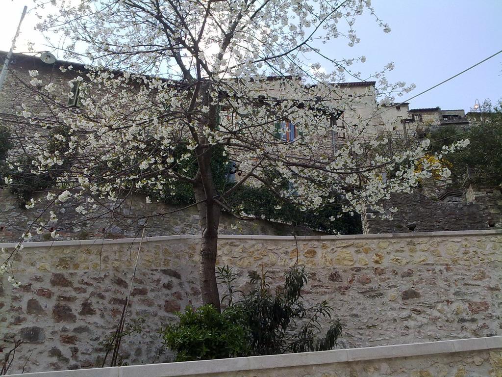 Il Paradiso Nel Borgo Arrone Екстериор снимка